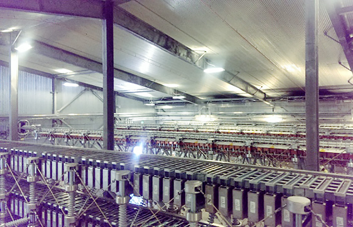 TRANS BAY CABLE — Dolmen Consulting Engineers